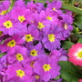 march_050.jpg