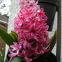 march_060.jpg