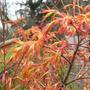 March_044_a