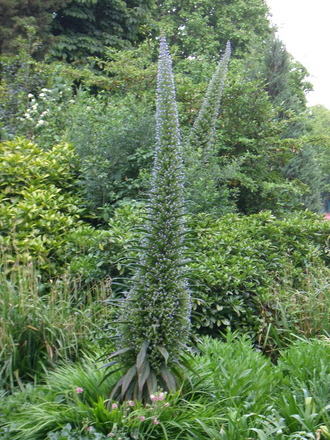 St James's Park June 2007