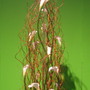 plant sculpture