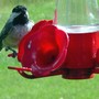 Chickadee