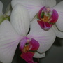 Dscn1659