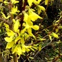 Copy_of_pict0354