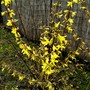 Pict0354