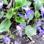 Pict0352