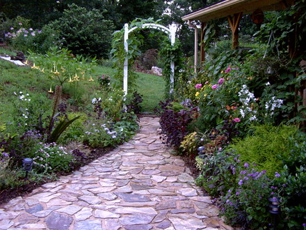 summer flowers