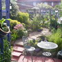 Lucys_pics_019