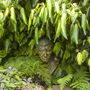 Garden_pics_020