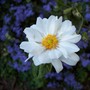 10-10-07_029
