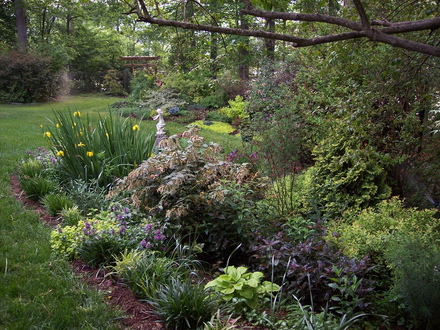  side and front garden in May '07