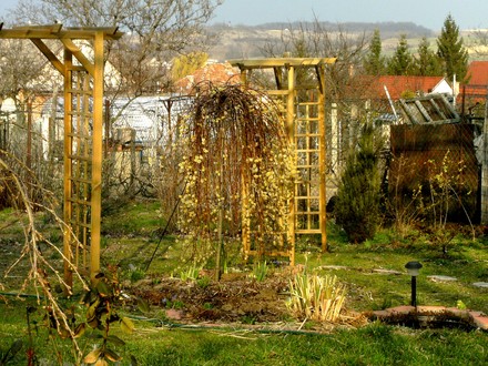 Top garden at back