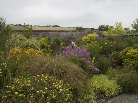 Herbaceous border at Winsford Walled Garden