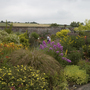 Herbaceous border at Winsford Walled Garden