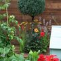 Topiary