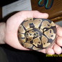 Pictures_summer_2007-spring_2008_145
