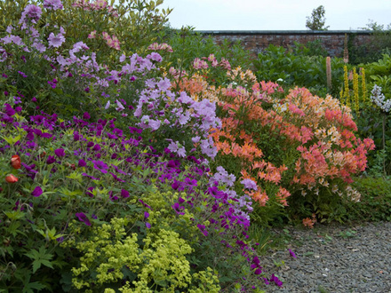 Colour_at_Winsford.jpg
