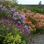 Colour_at_winsford