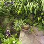 Garden_pics_005