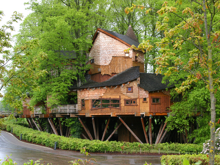 Tree House
