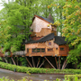 Treehouse