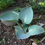 Blue_ice_5-15-07_good_med