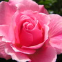 Pict0901