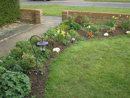My front garden