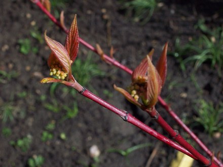 Opening Up :)