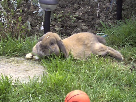 gerry sunbathing