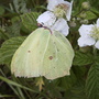 Pict0232