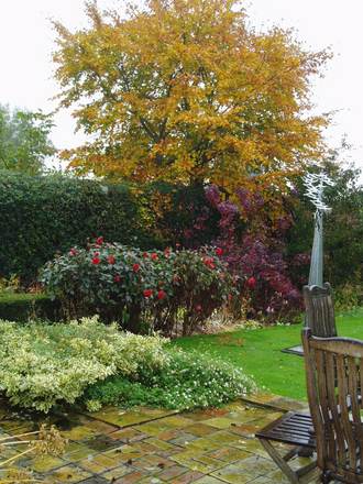 Autumn 2006