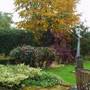 Autumn 2006