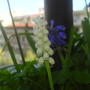 Dsc00952
