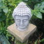The_patch_200