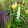 Image026