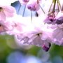 Img_0003