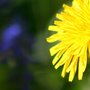 Img_0012