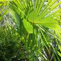 Selection_march_2008_005