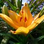 Image022