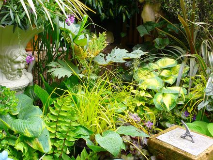The colour theme in front of the wildlife pond-Summer 2007.