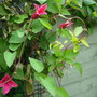 Dscn0625