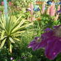 Lucky_pics_042
