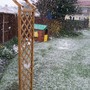Blizard_3