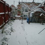 Snow_3