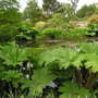 Pict0893