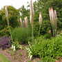 hyde hall 2007