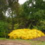 PICT0972.jpg
