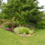 Pict0993