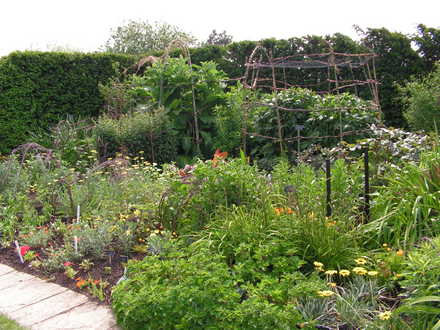 PICT0995.jpg